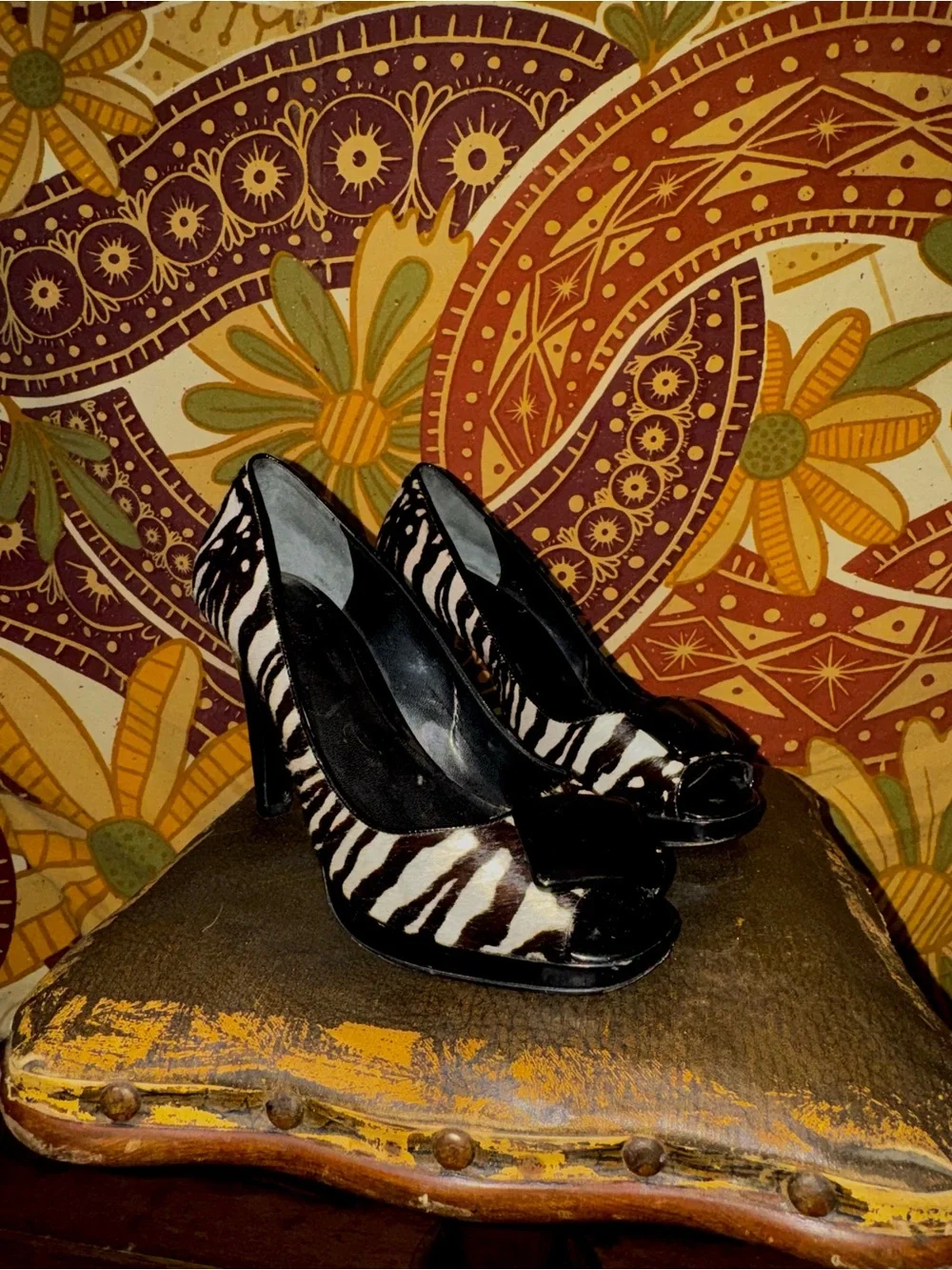 Ann Taylor ann taylor